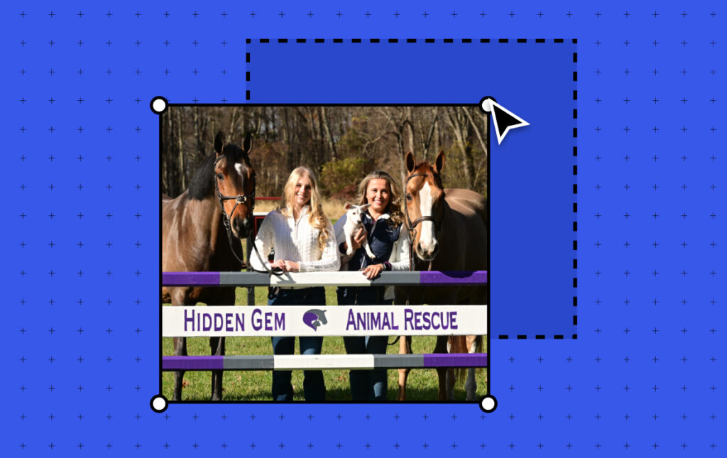 Murphy Levesque Co-Founded an Animal Rescue at 11. Her WordPress.com Site Helped Save Over 100 Animals.