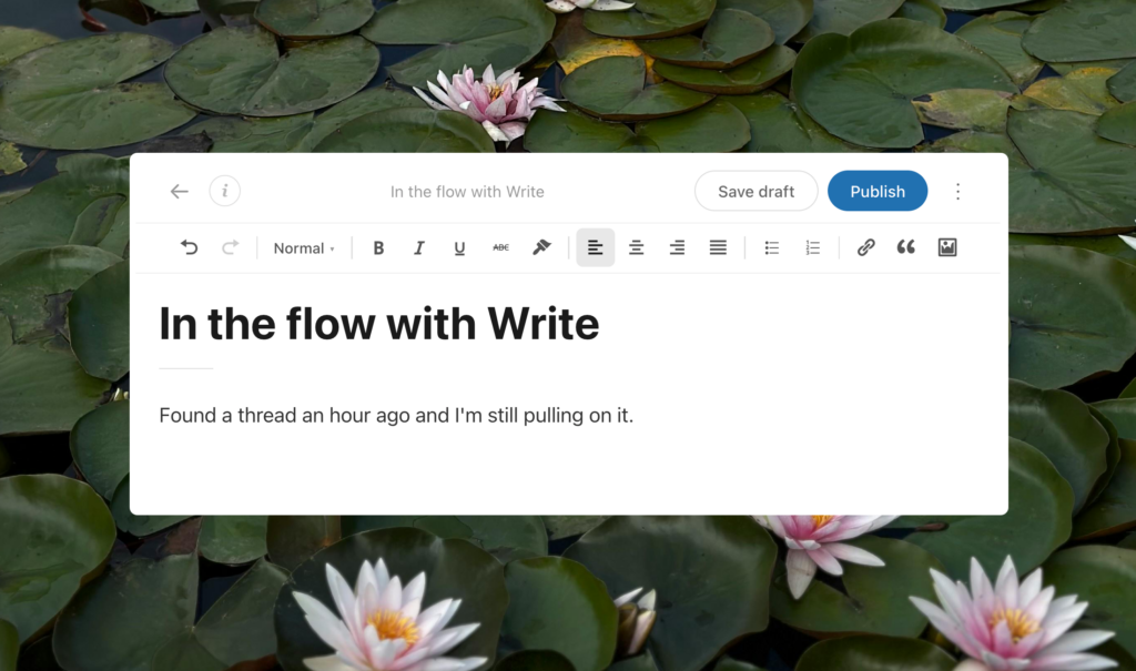 Introducing Write: a new way to post, built for writers